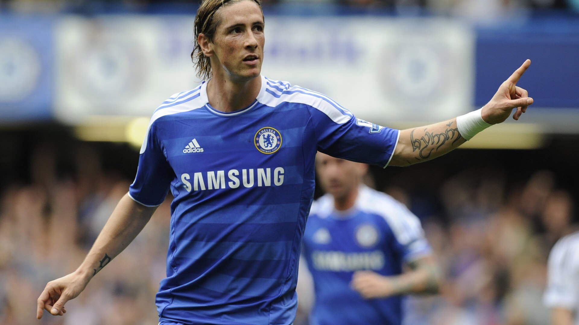 开云APP-荷兰马术协会建立马匹基因数据库，促进马匹选育与训练。，荷兰马后